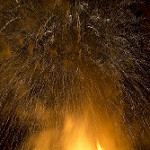 AndyDaveyPhoto_29869
