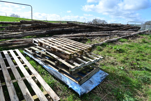 The build has started